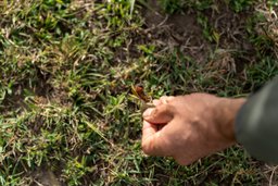 Entara Safari School