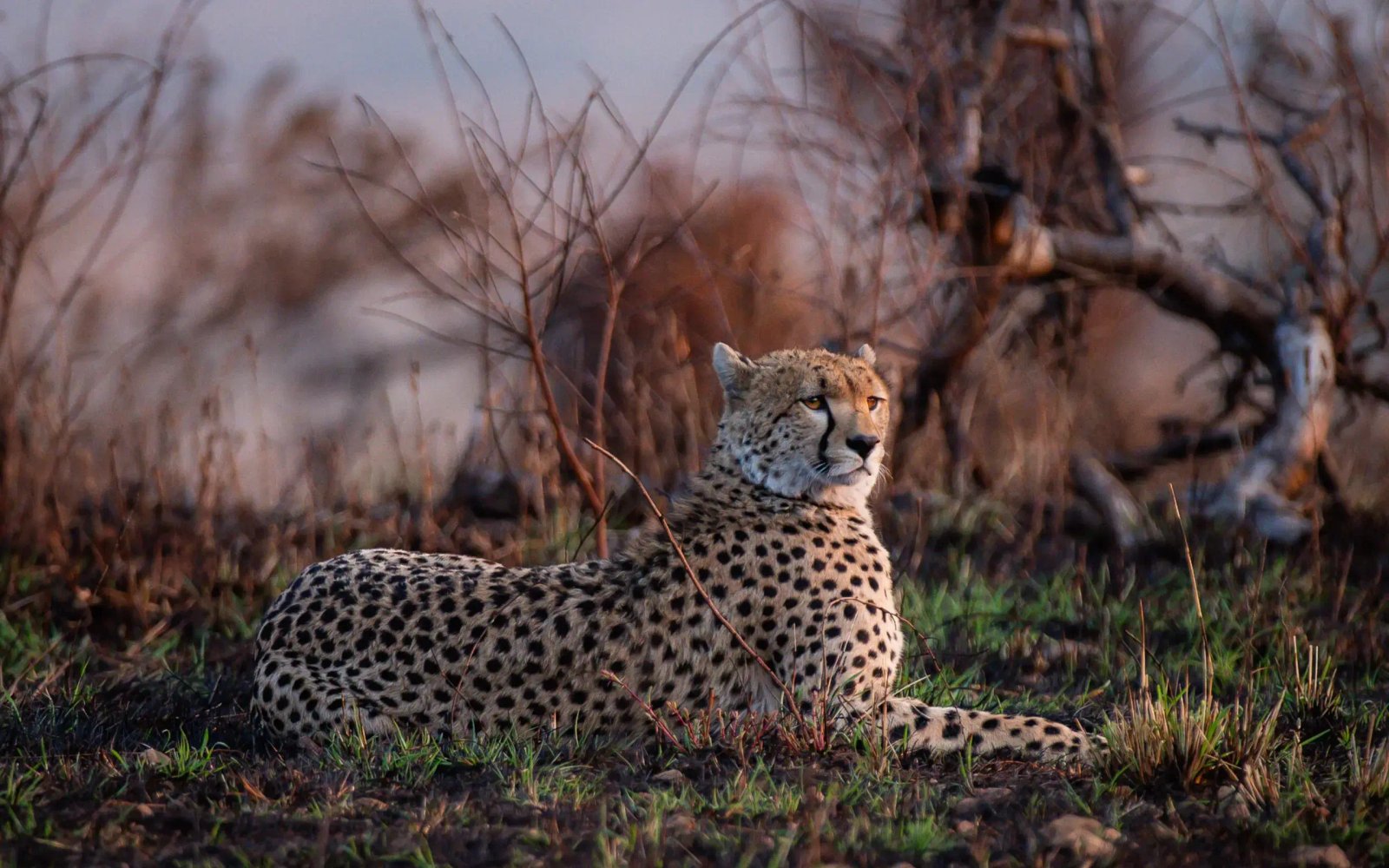 Esirai-North-@-Hagai-4398-scaled-1 (1)