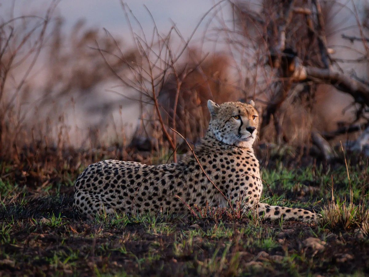 Esirai-North-@-Hagai-4398-scaled-1 (1)