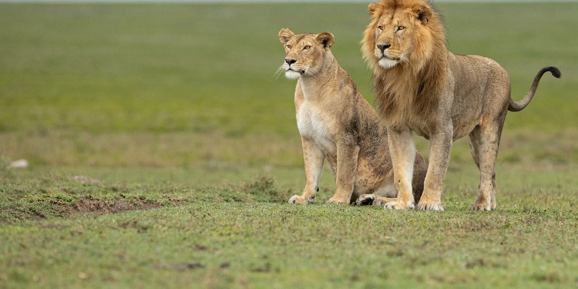 Entara-@-Dori-Caspi-1S5A8206-Copy-1-1 (1)