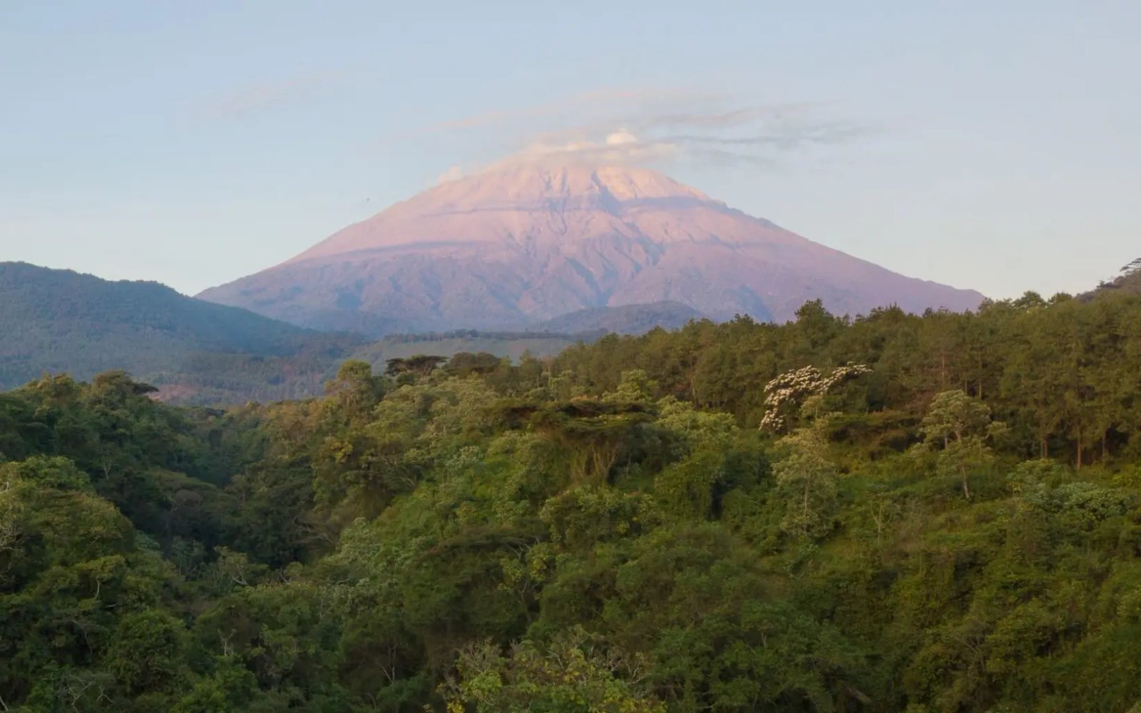 tanzania-banner-scaled