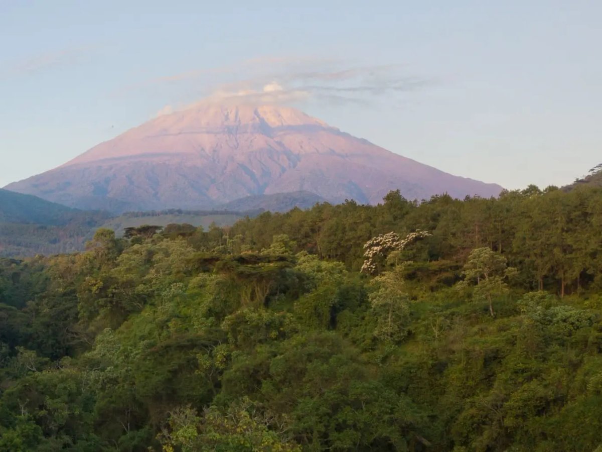 tanzania-banner-scaled
